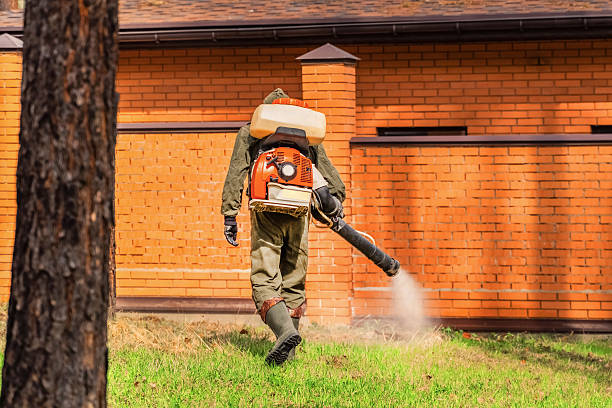 Trusted Cockroach Control service in Ocean Park, WA - Nex Pest Control